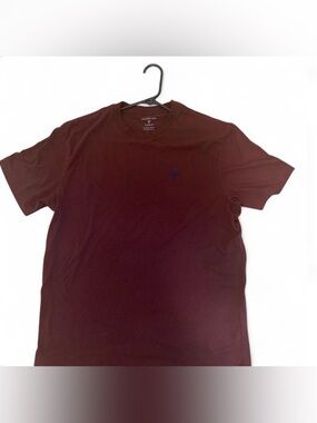 American Eagle Outfitters Men’s Short Sleeve Tee in Burgundy